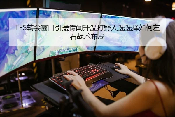 TES转会窗口引援传闻升温打野人选选择如何左右战术布局